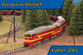 Výstava ve Velinách 2005