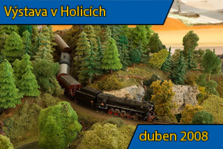 Výstava v Holicích 2008