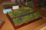 Dioráma TRAINMANIA