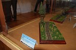 Dioráma TRAINMANIA
