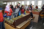 TT kolejiště Petra Jakubce