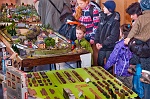 Foto: Luděk Vojtěchovský