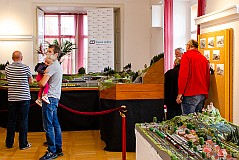 Kolejiště Igora Dýcky, „Kamenice – Horní Ztracená“